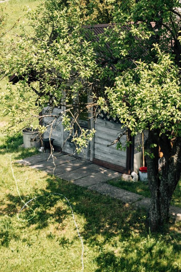 Pokoje Madzia Visla Exteriér fotografie