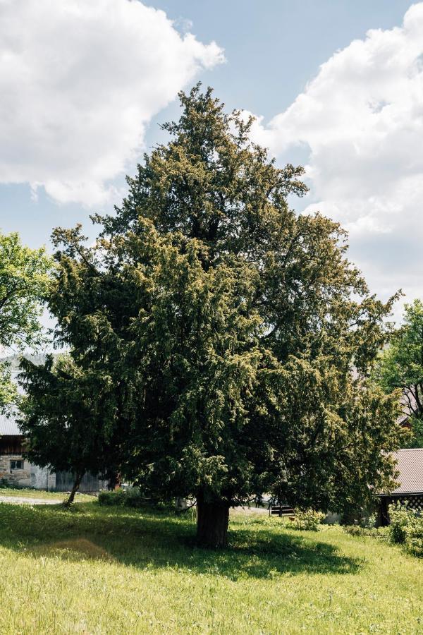 Pokoje Madzia Visla Exteriér fotografie